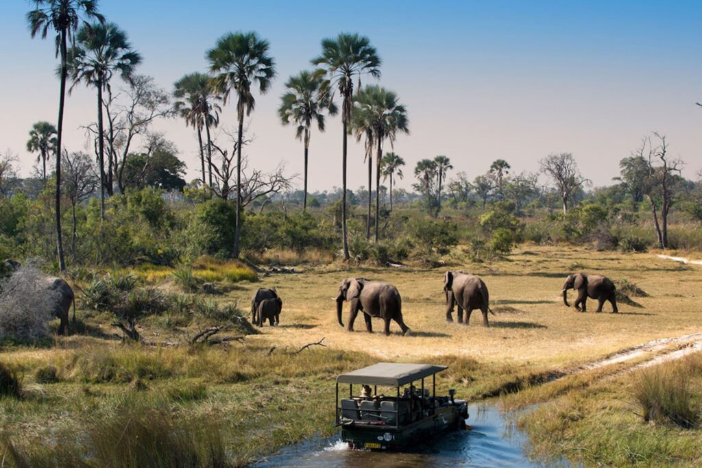 Safari to Selous Game Reserve from Zanzibar