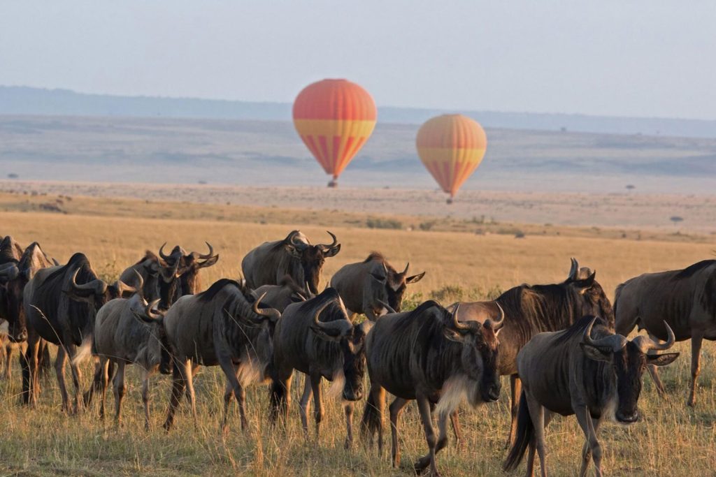 Serengeti Safari from Zanzibar