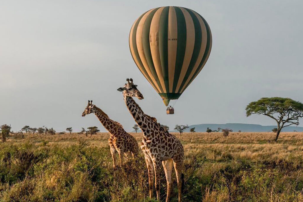 Safari-To-Serengeti-National-Park-and-Ngorongoro-Crater-From-Zanzibar