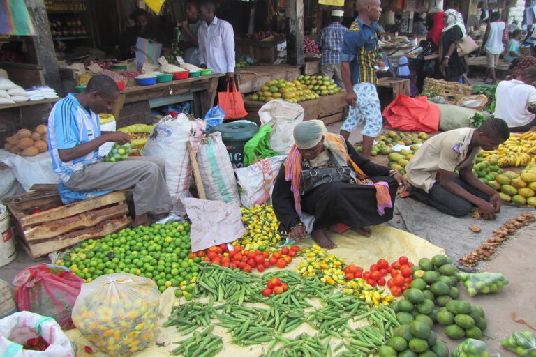 Stone Town City Tour