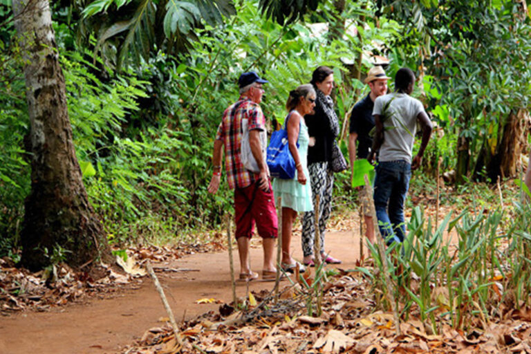 Zanzibar Spice Tour