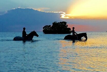 quad bike tour zanzibar