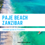 paje beach, paje beach Zanzibar